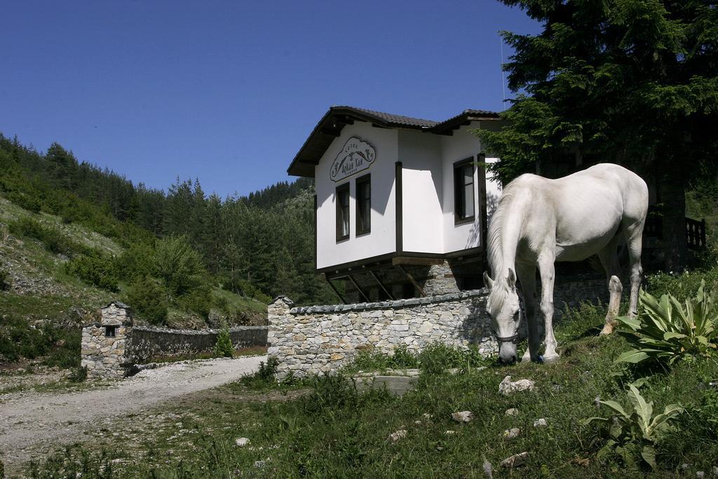 Family Hotel Arkan Han Trigrad Extérieur photo